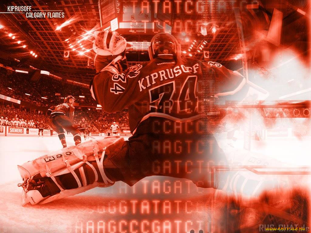 kiprusoff, , nhl